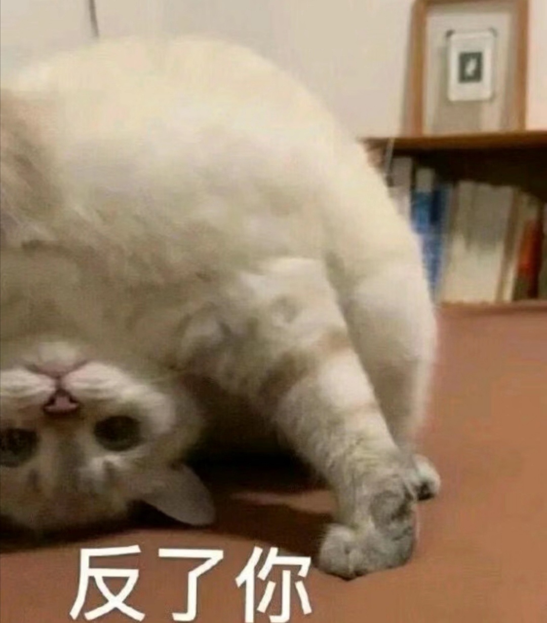 猫猫表情包😽#猫咬电线被炸成小糊脸##猫# ​​​