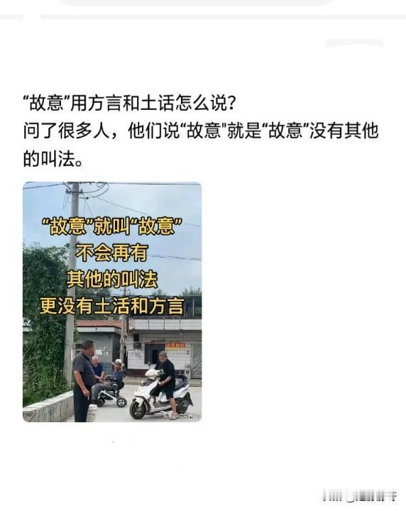 我敢说故意就叫故意，没得方言。也没得其它叫法！