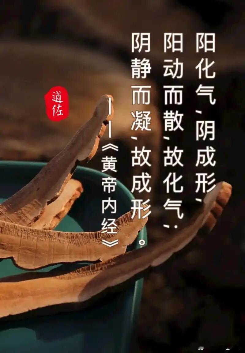 气，生命的灵魂中医的深邃理论体系中，“气”是一个极为关键且精妙的概念。这里的气指