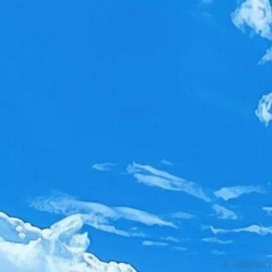 阳光信用熊猫守护者 🌿阳光信用 每日一善 不是所有鲜花都盛开在春天，不是所有河