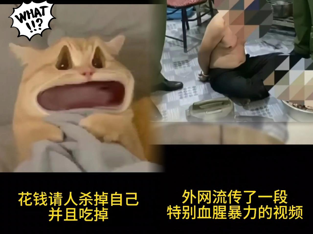 听我的，
千万别好奇去搜“越南屠夫”，
那画面真能在脑子里刻一辈子。
 
不是夸