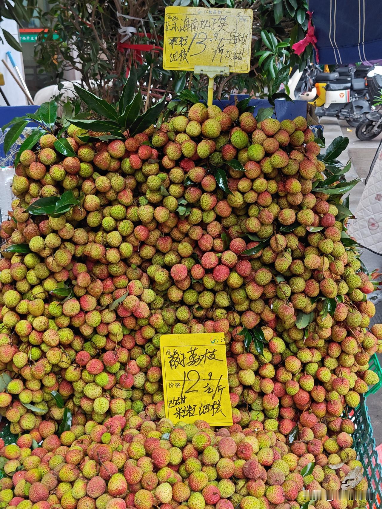 荔枝价格，普通妃子笑13/斤，优质妃子笑16.5/斤，白糖罂16.5/斤。广州荔