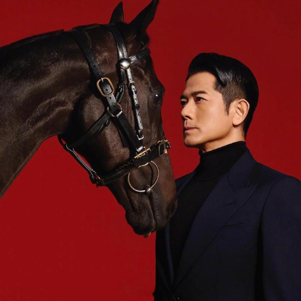 春晚节目单《闪耀动起来》这倒是很期待啊。郭富城有自己的马，今年又是马年，好彩头啊