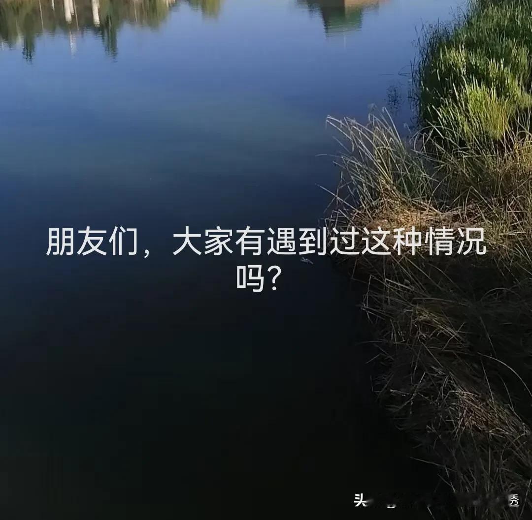 可能很多人没看到我发的体彩大乐透25018期的参考号。

这还真没有办法啊，发出