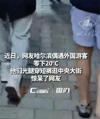 哈尔滨街头惊现“短裤勇士”！中央大街上，几位外国游客居然在零下20度的天气里穿着