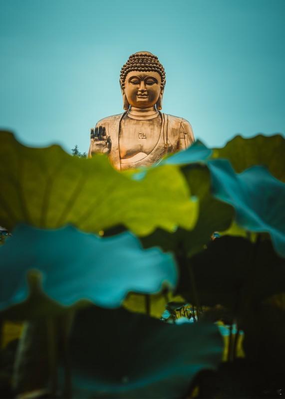 转赞，尽扫一切霉运，常得如意吉祥，各种好运接踵而至。 ​​​