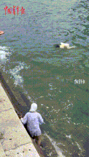 七级浮屠！