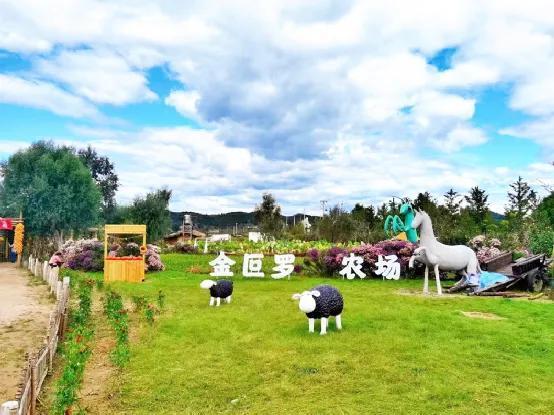这个农场“农教旅融合”，8天营收过百万，怎么做到的？

金叵罗农场位于北京市密云