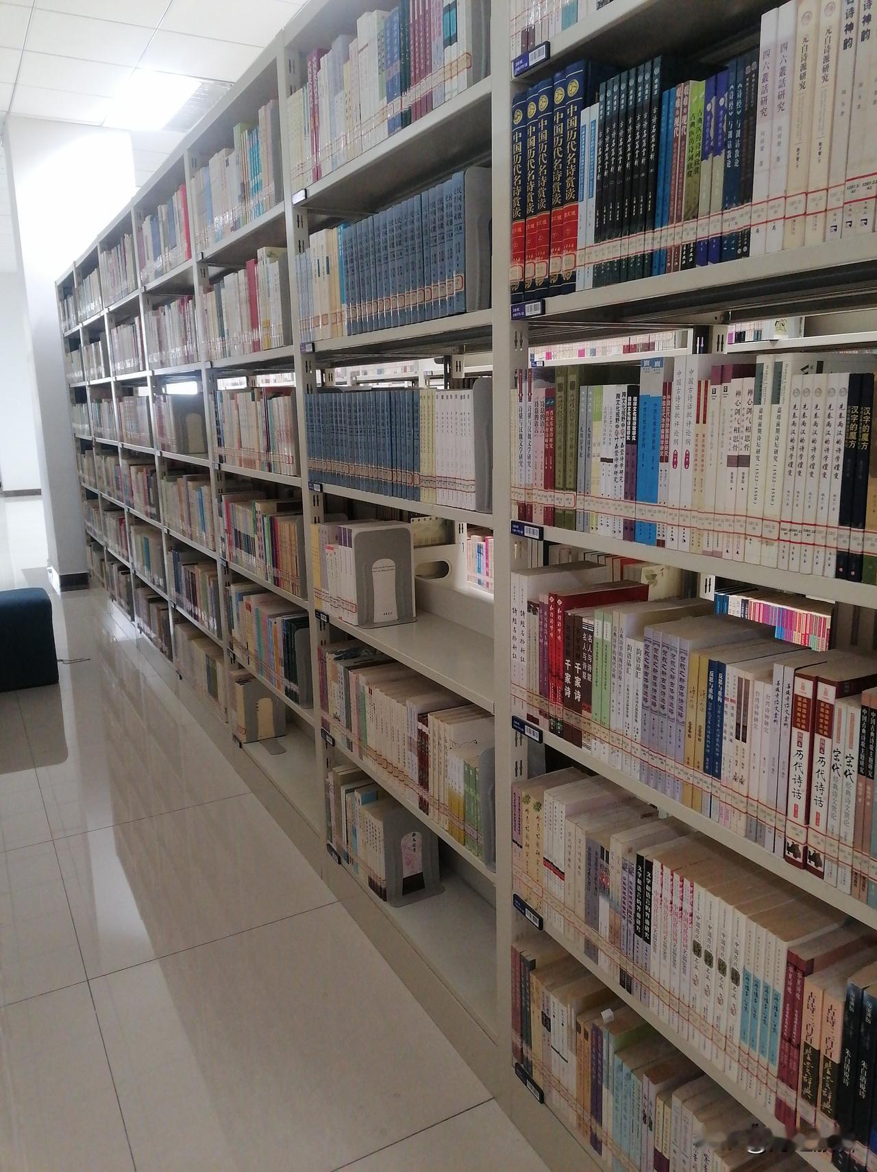 周六天气阴沉，我收拾完家务，就去图书馆看书了，准备大半天都在这里度过，仿佛回到了