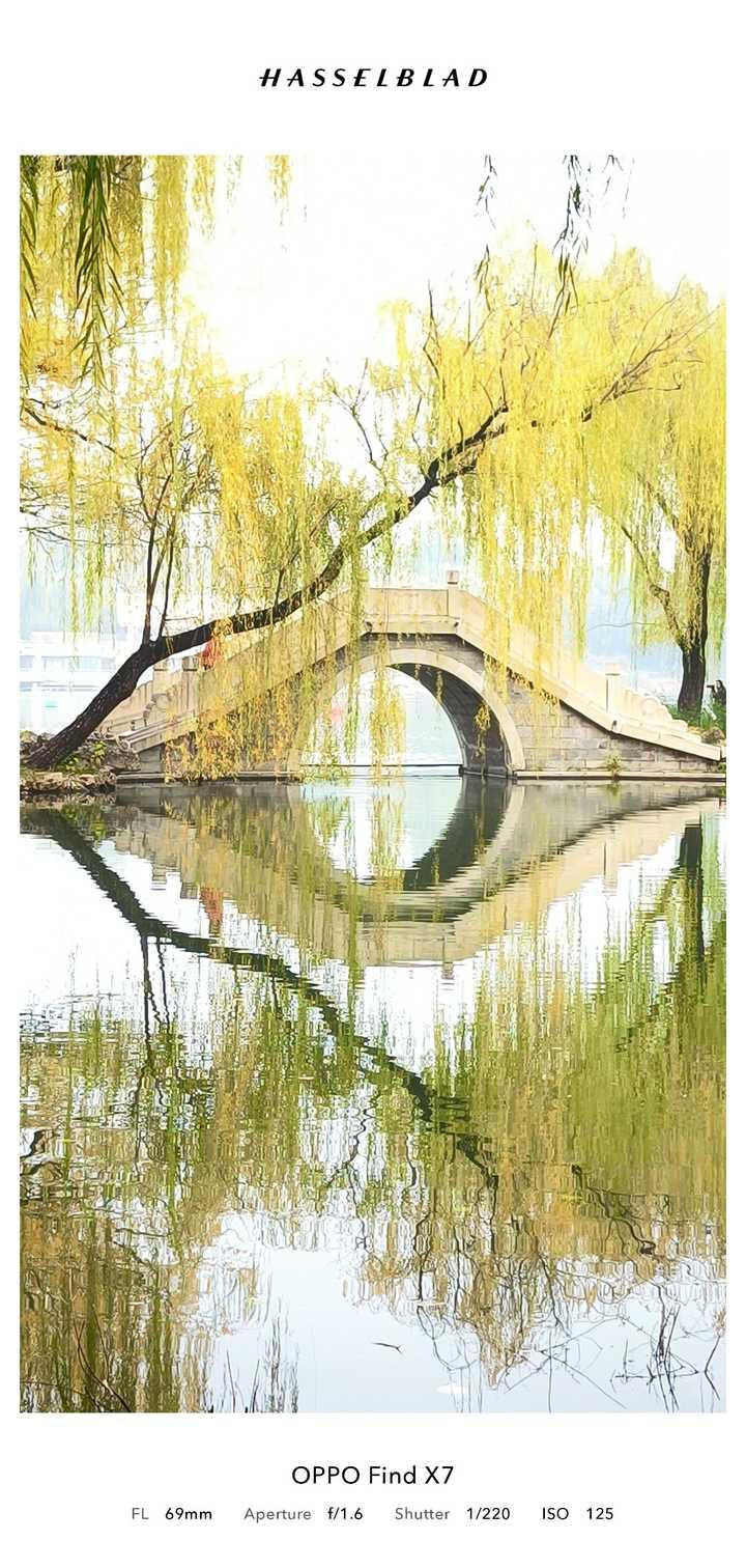 奔赴一场秋日的约会，看叶落成诗，听风说远方 听说你也在路上了，是这样吗？
方向盘