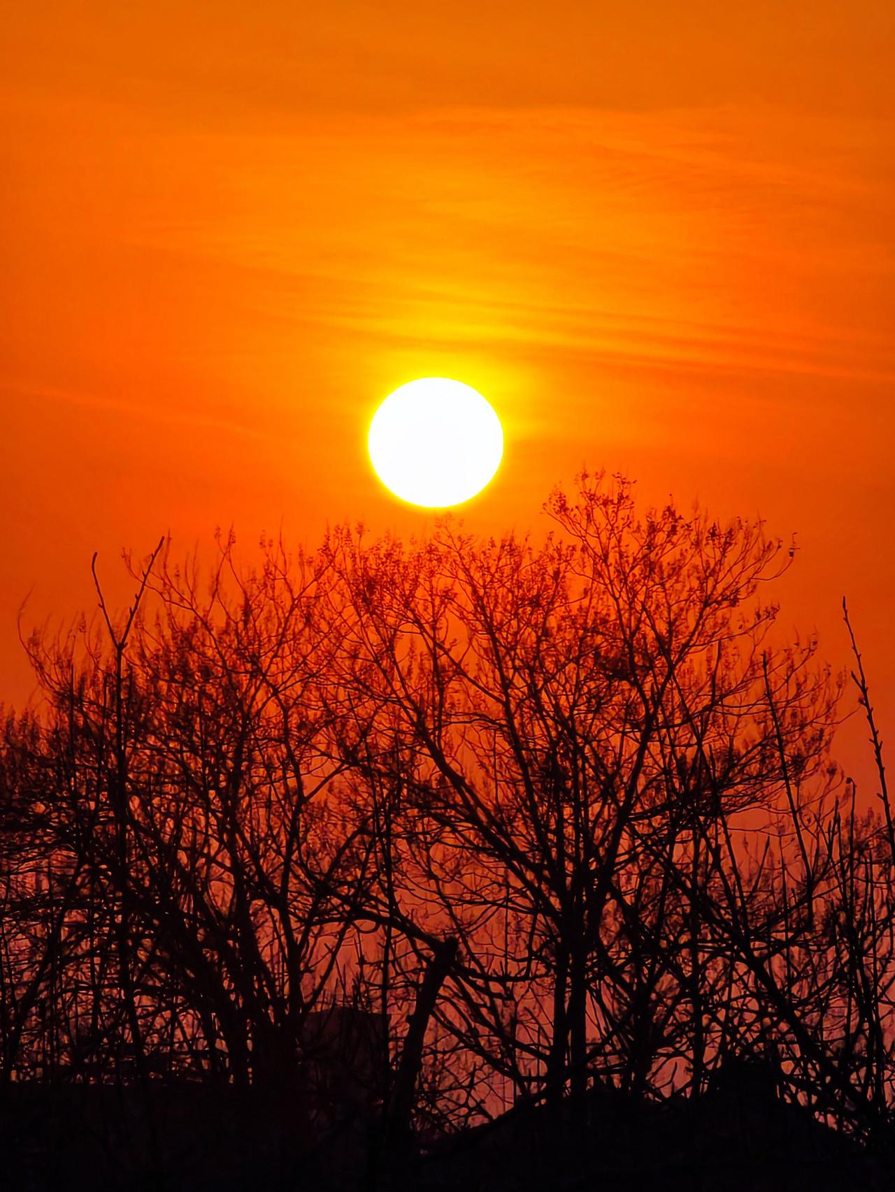 如果你也喜欢拍树不妨交换一张