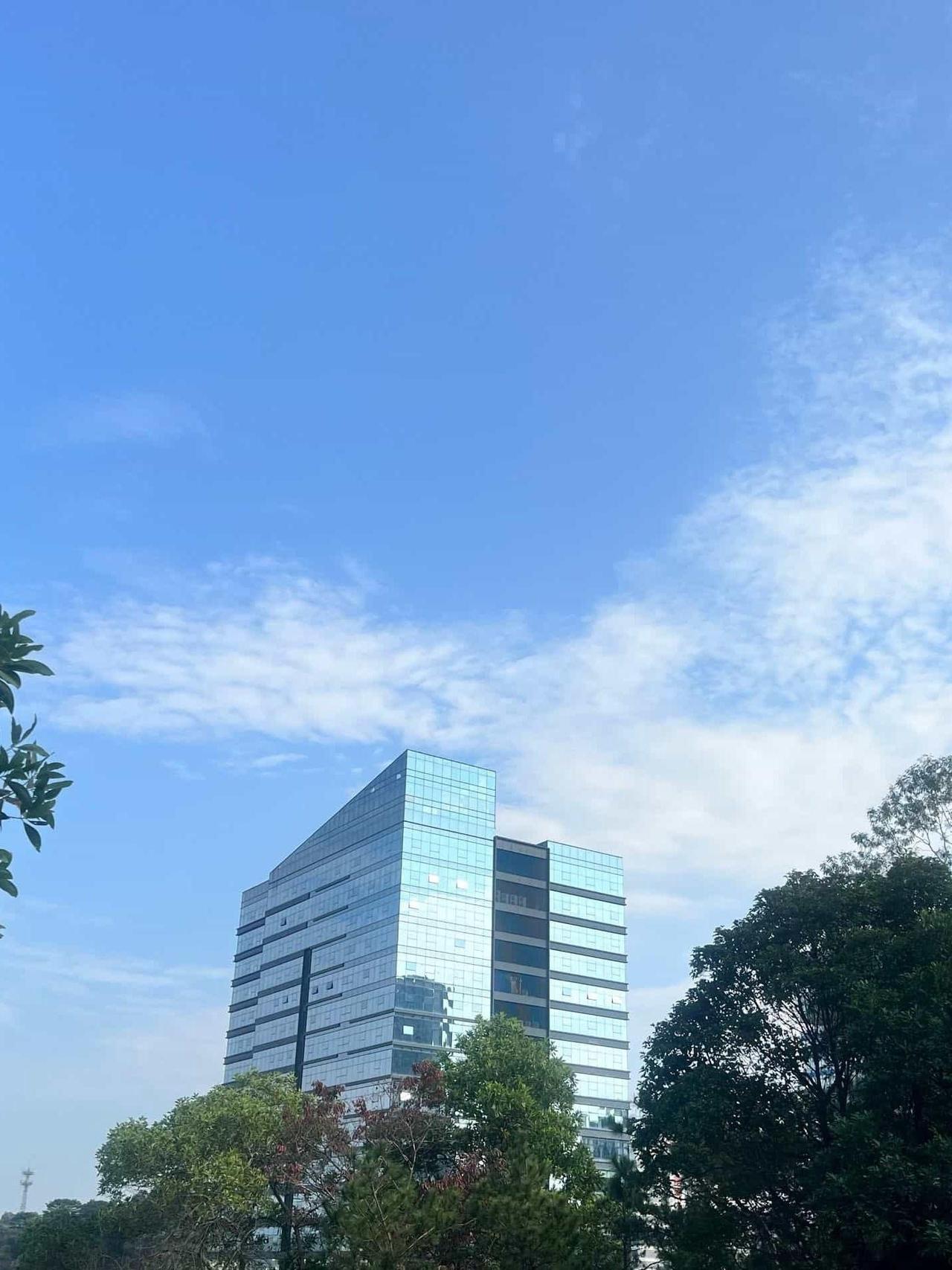 春日漫游指南｜解锁硅谷公园的活力节奏

🌿在市中心发现了一处藏在绿意里的运动宝