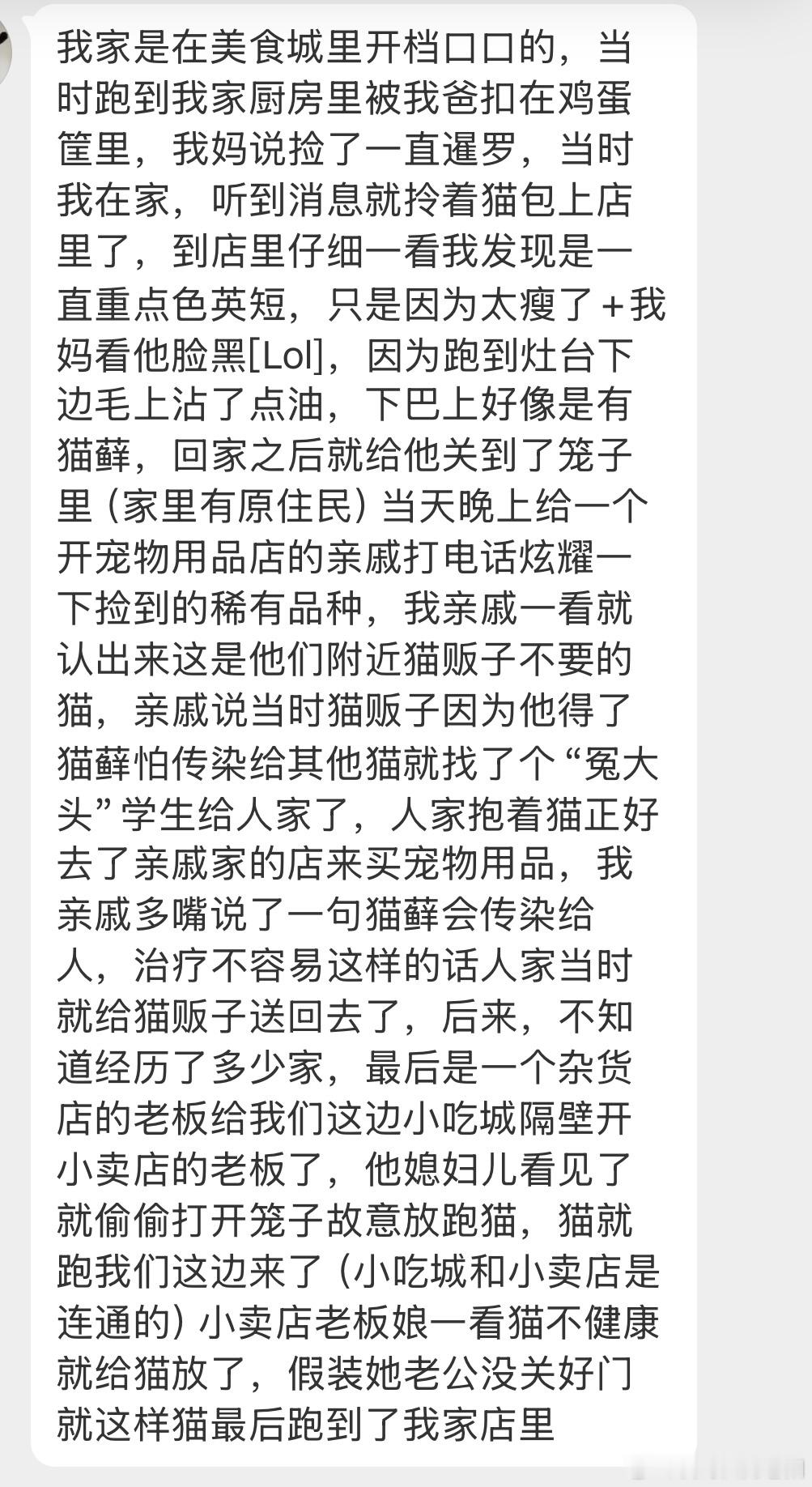【投稿】[爱你]和自家暹罗猫认识的故事大家和自己猫咪都一起经历过什么事情呢？ 