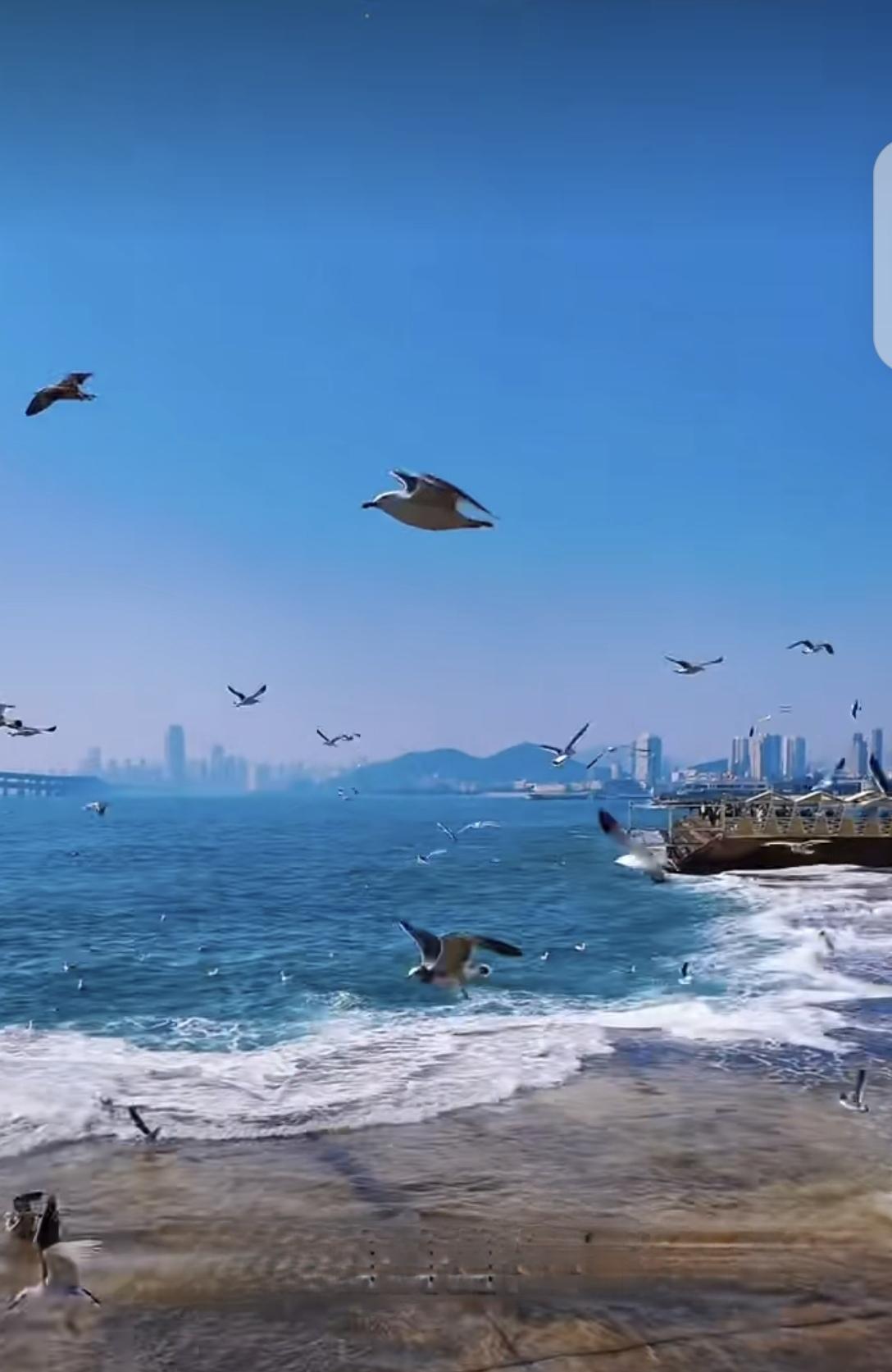 东北最值得去的十大城市，第一哈尔滨，第二大连，第三沈阳，第四牡丹江，第五吉林，第