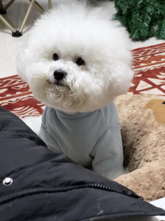 就给宝吃一口不行吗