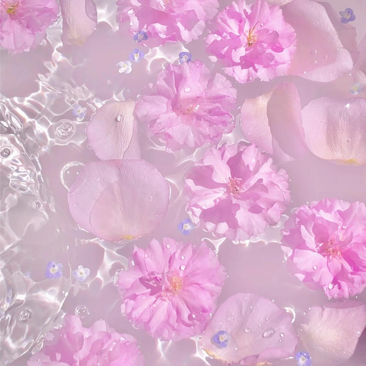 🎀 