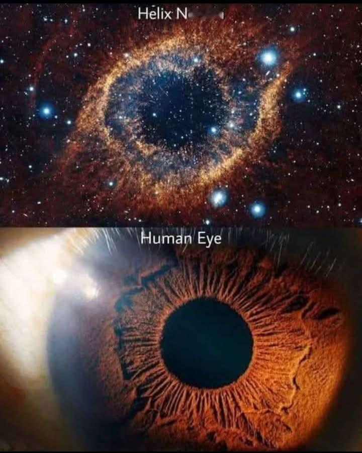宇宙星云和人眼的相似性 ​​​