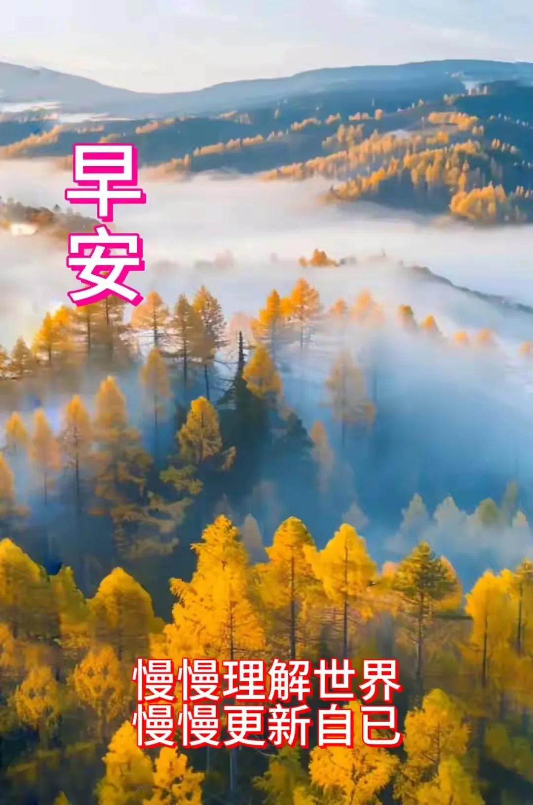 诗美身心，灿放红尘。。。。
#醉美鲜花开。#

我的身影
平凡而琐碎
也疾行于这