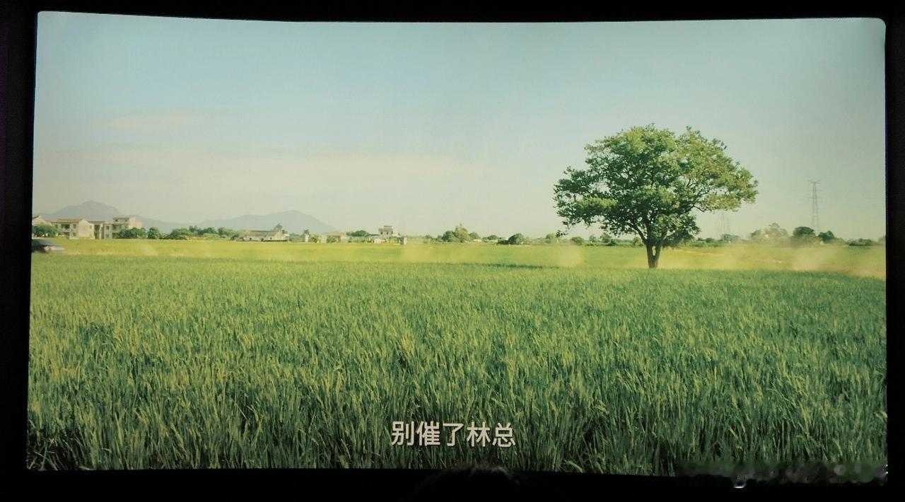 《写给阿嫲的情书》里，只有一个地方，让我有泪点。

朋友说，他19岁那年看完《妈