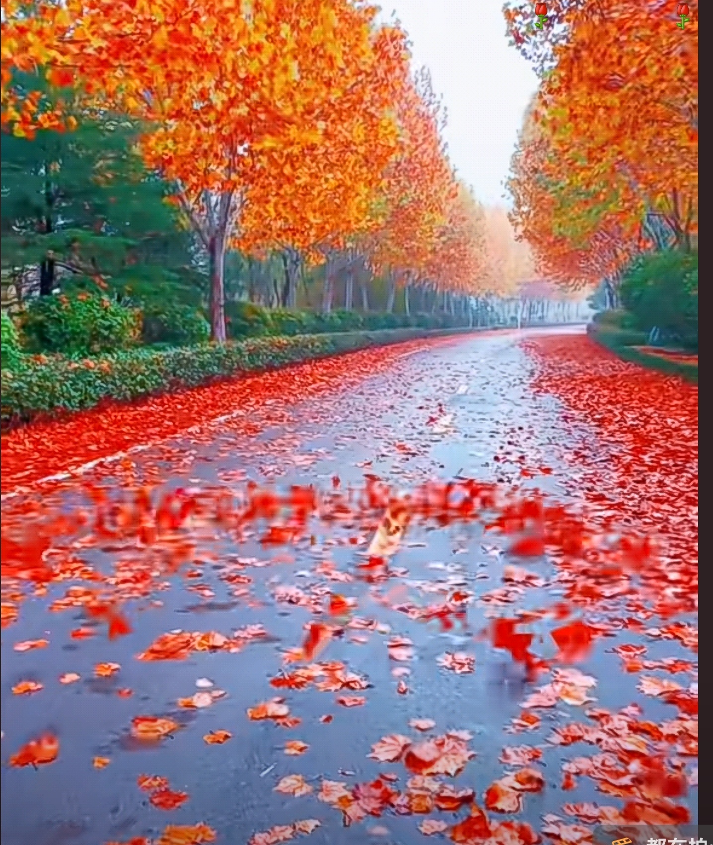 北京的雨，也很厉害。大学还是不一样。整整三个月的时间，孩子的神情明显成熟很多，稚