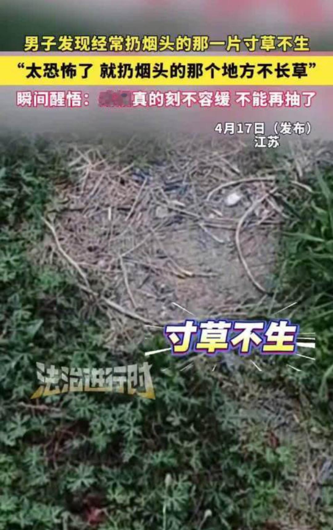 烟头能让草地寸草不生，它对身体的危害岂不更甚？
近日，江苏一名男子因长期将烟头丢