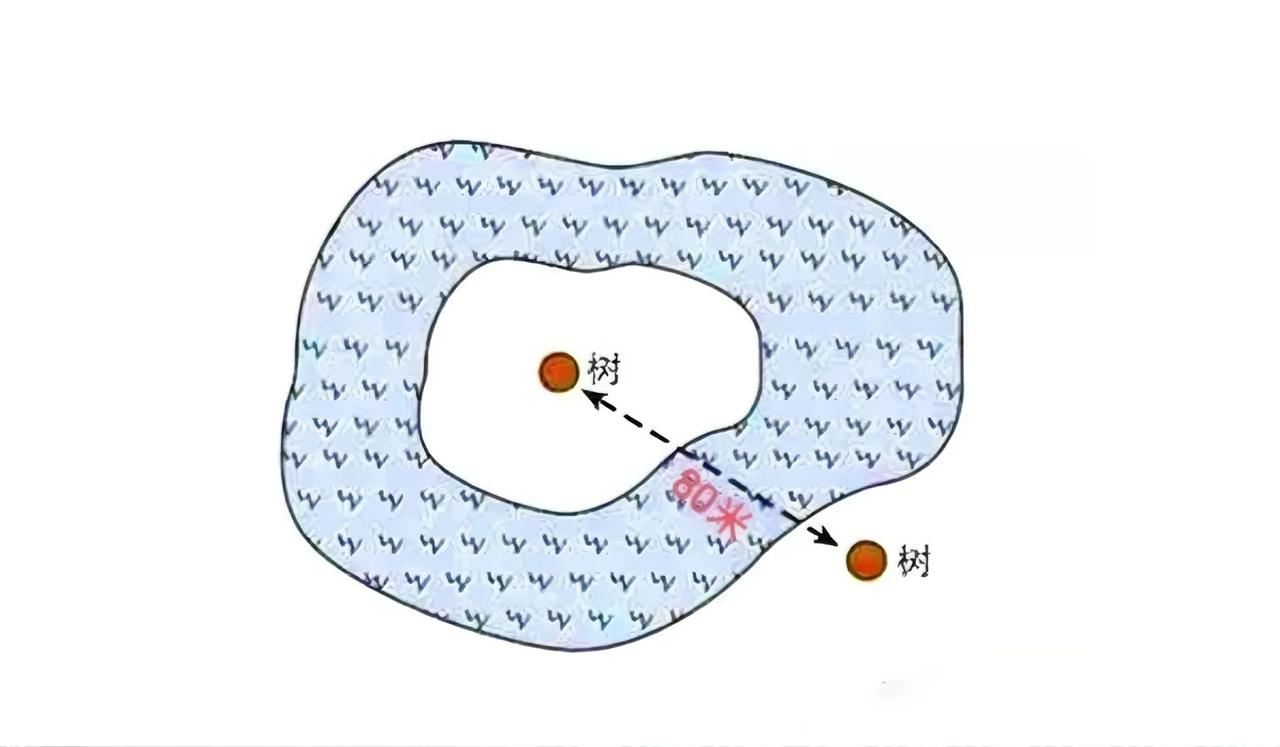 成都市某国际学校一道数学题，让不少985毕业家长犯懵，也让人理解了其近20万一年