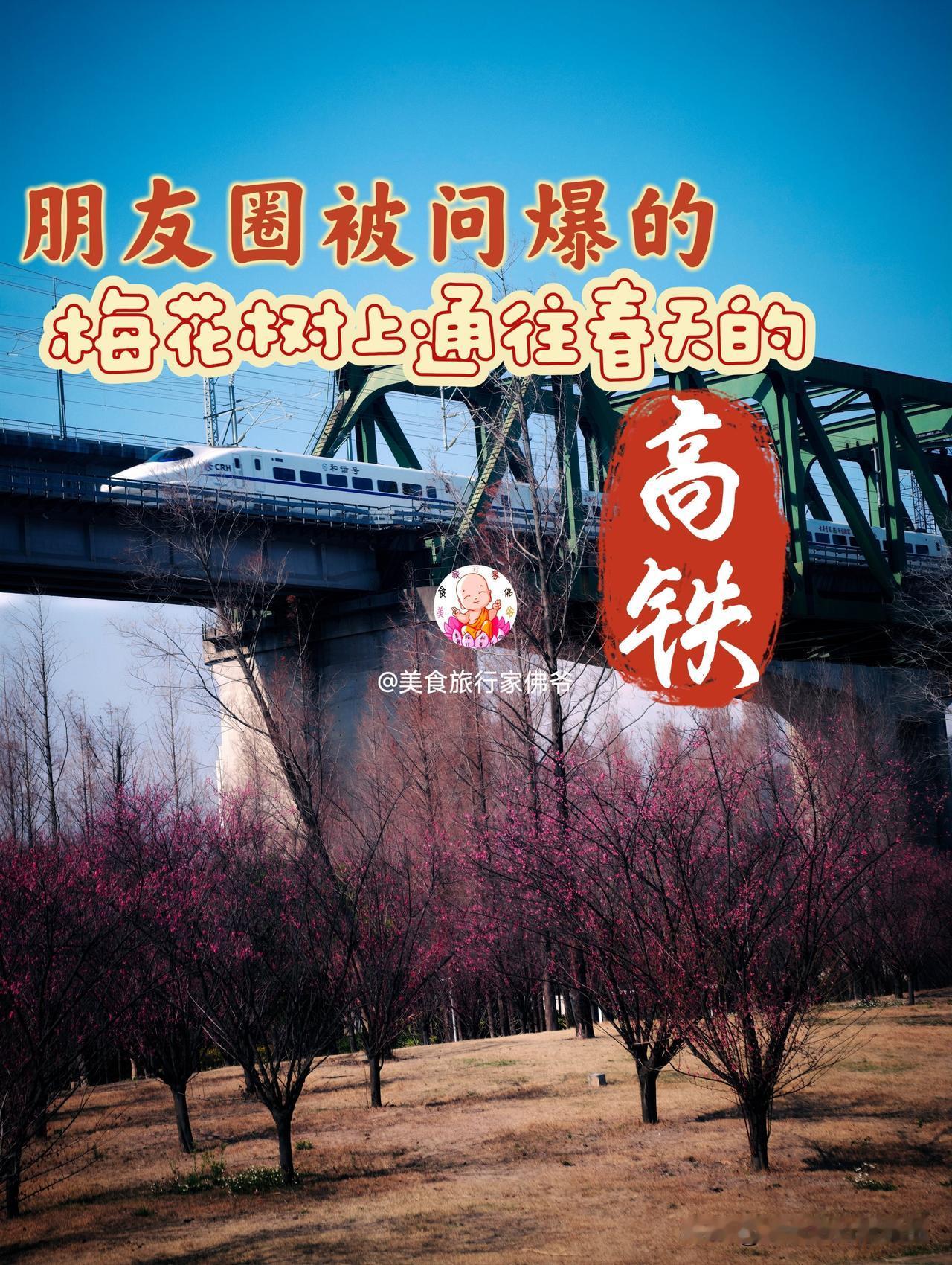 “梅花树上通往春天的高铁”，这里就是福州人朋友圈里被问爆的地方，高铁和梅花的完美