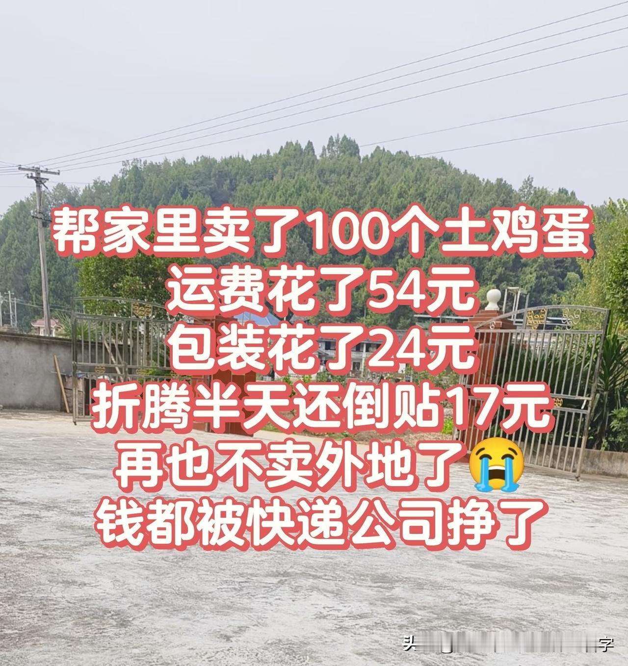 从家里和外婆家凑了100个鸡蛋，1.2元/个，扣除运费才1元/个，买家小姐姐人很