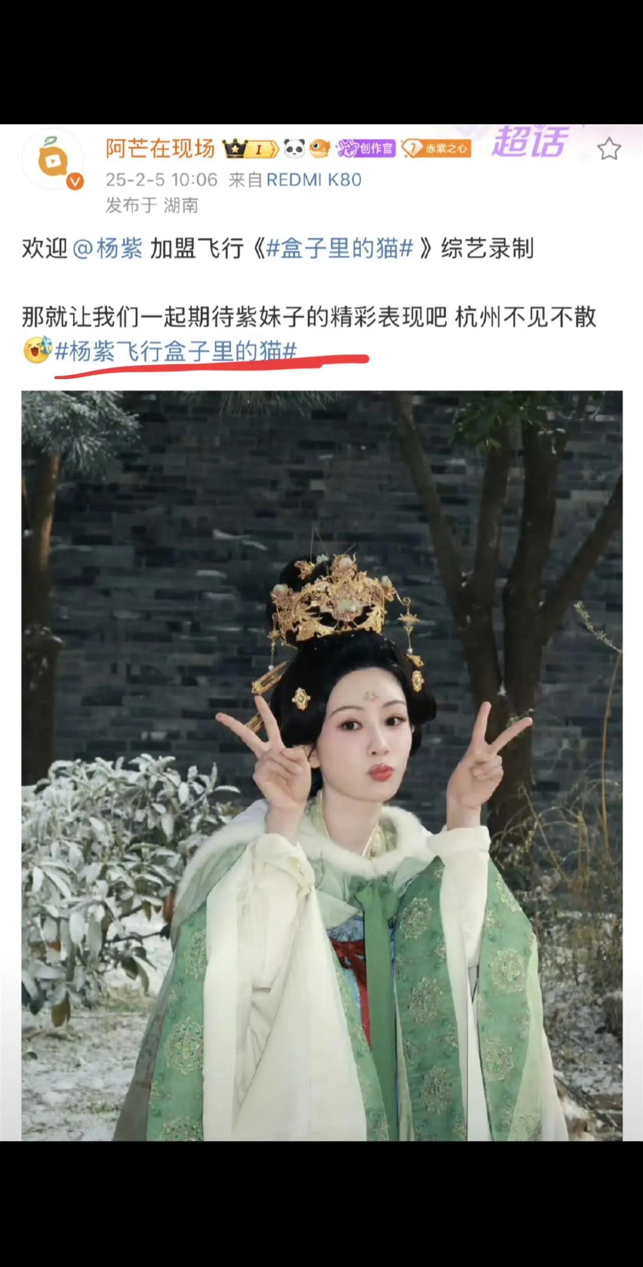 可以看紫喽😁😁