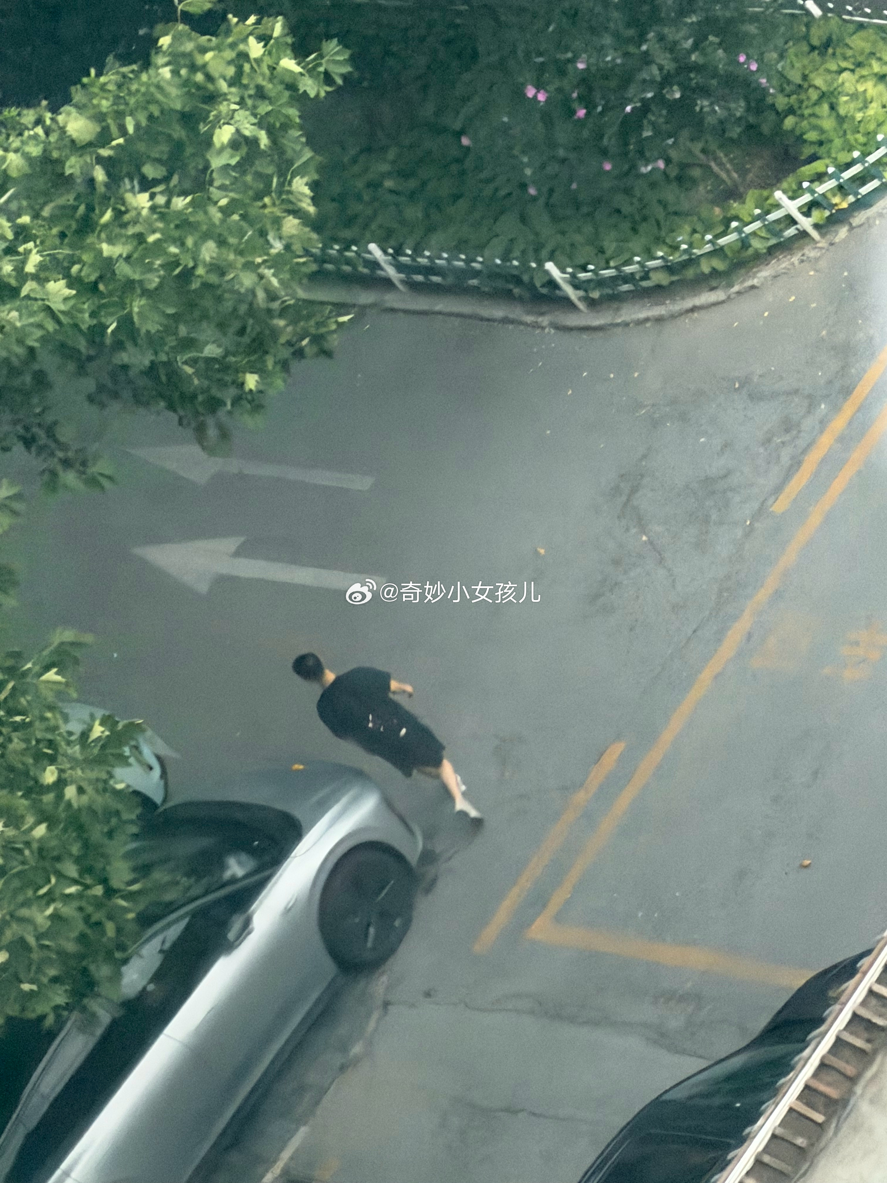 更新🆕1.好小的西瓜2.一个不会拐弯的人3.害羞的小猴5.我开始给自己买露露了