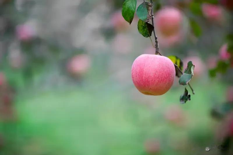 为什么我劝你千万不要做一个“太懂事”的大人？原因扎心了！

从小我们就被夸“懂事