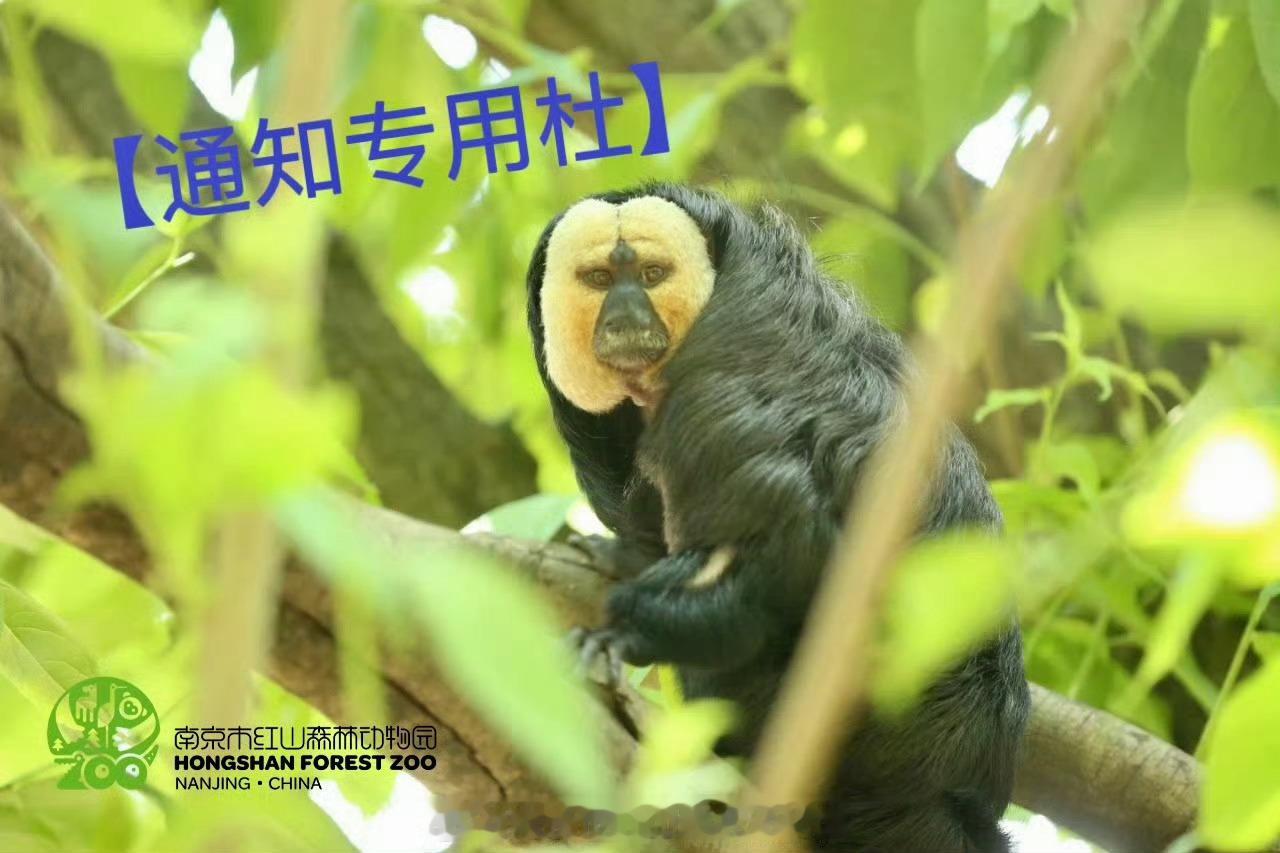 [话筒][话筒]通知：因园区道路提升，2025年4月23日-24日（周三、周四）