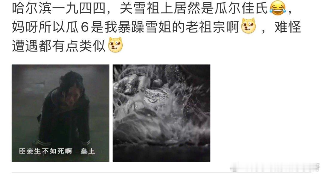 #关雪是瓜六的后人#关雪的祖上居然是瓜尔佳氏，那么关雪也就是瓜六的后人，是有点一