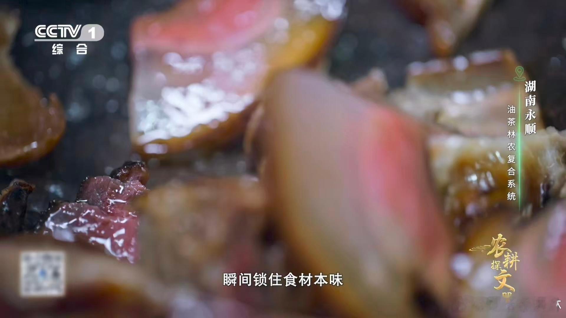 植物界有自己的全能选手 榨干油脂的茶枯，富含的茶皂素可以用来洗头发，谁能想到榨油