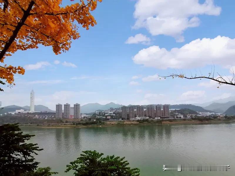 看到“秋风十里情满江”这句上联，瞬间就被那股秋风中的深情打动。它让我想起在秋风中