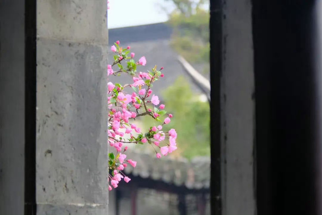 余生还长，你别慌。别回头，别纠缠，别念旧。——余华《活着》