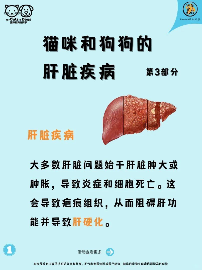 肝脏疾病