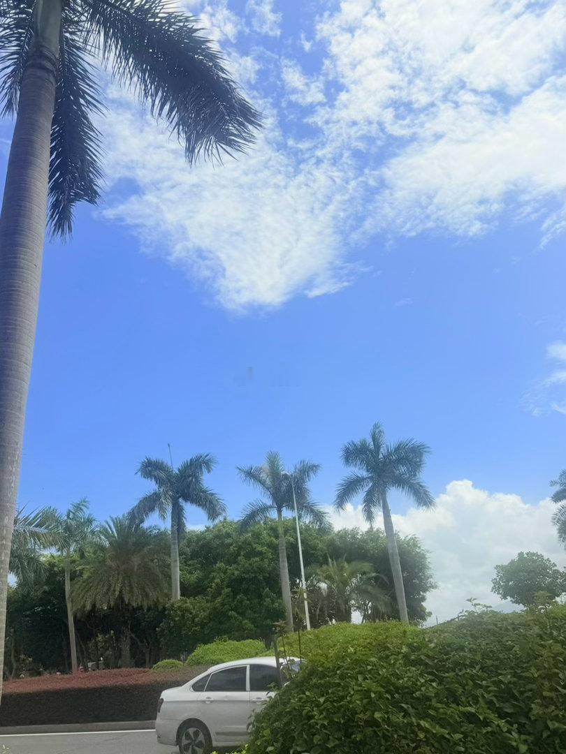 ⛅🌱🌼🌳假期的意义，早安～就是让日子慢下来～看看路边的花，吹吹温柔的风，原