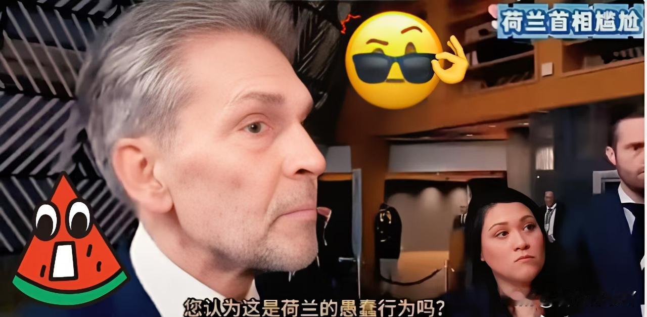 最新消息！

荷兰首相斯霍夫参加欧盟峰会时遭到围堵，并非无因，而是因为他强行接管