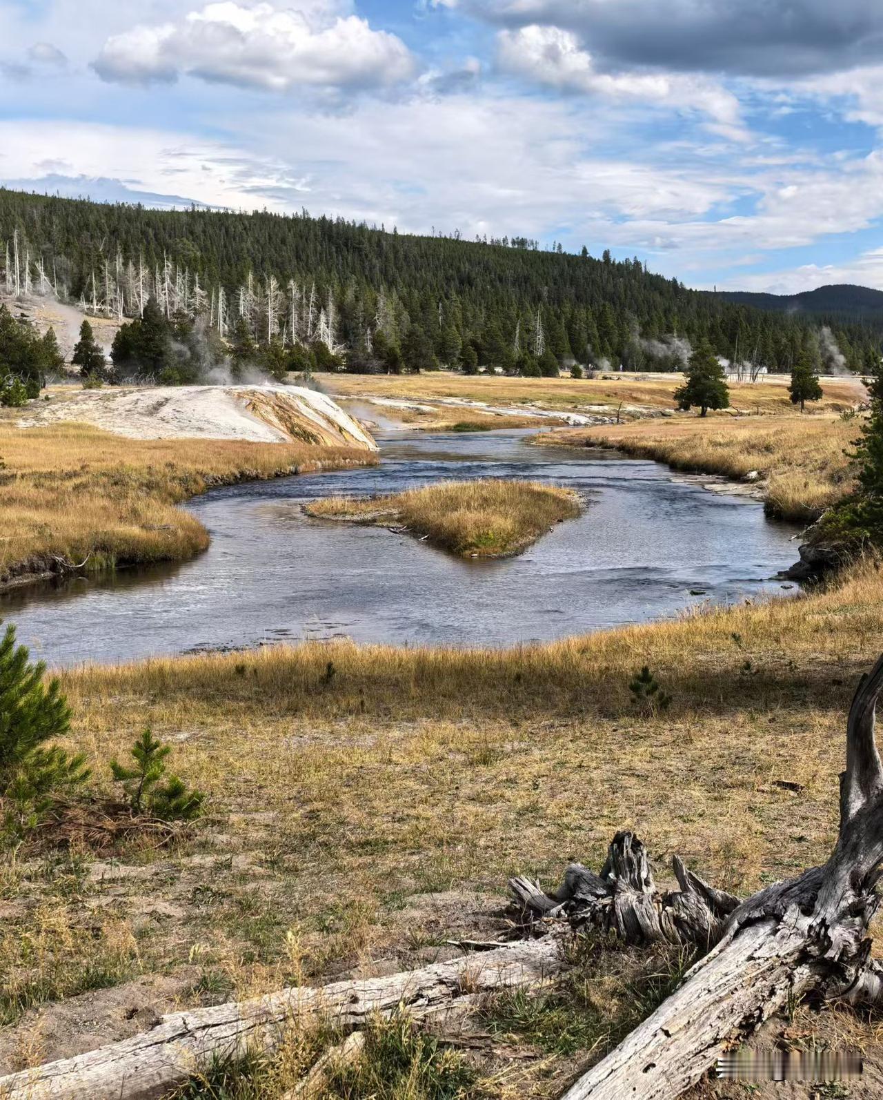 当时我离站台还有一段距离，眼看车已经要关门了，我下意识地小跑了两步，还没来得及招