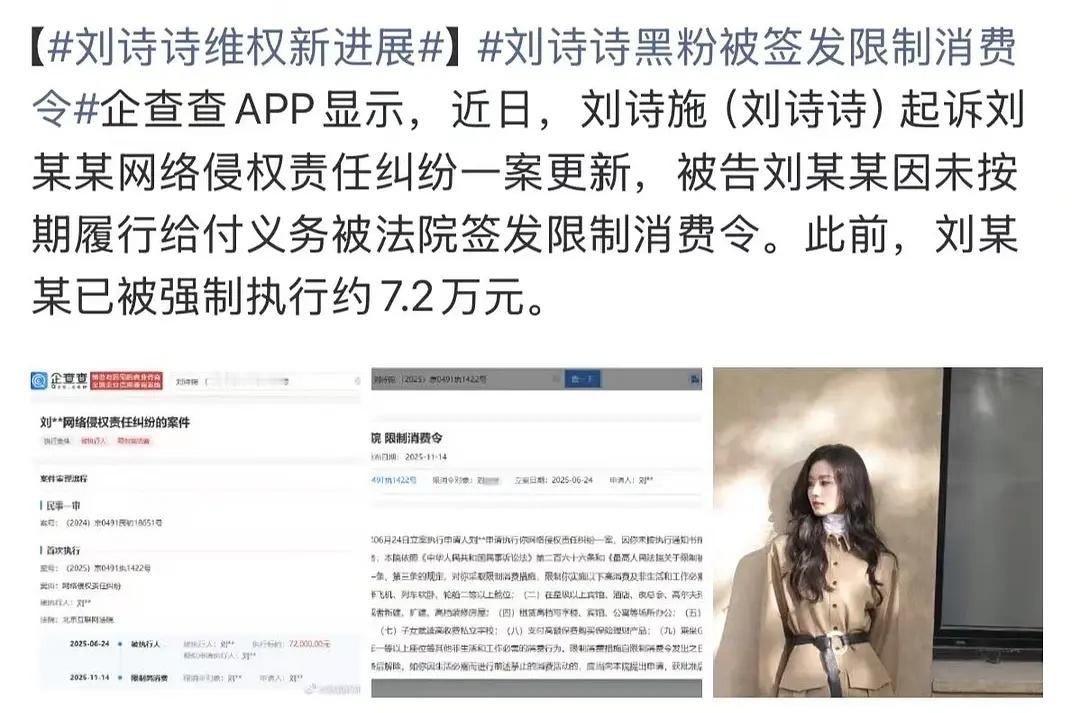 刘诗诗维权胜诉，造谣者被强制执行72000！赔这么多真少见啊，这黑子干啥了？