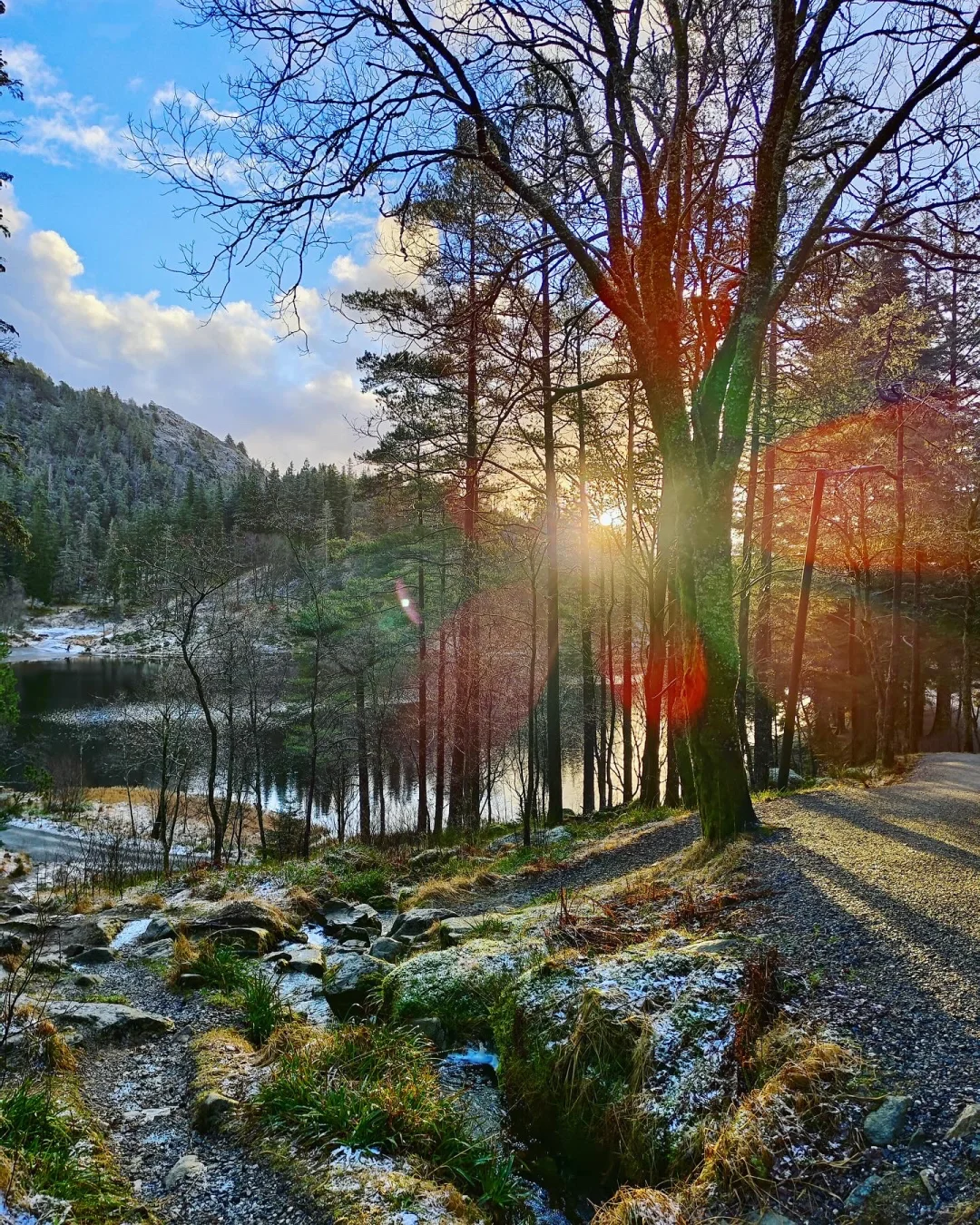 挪威冬日森林之美