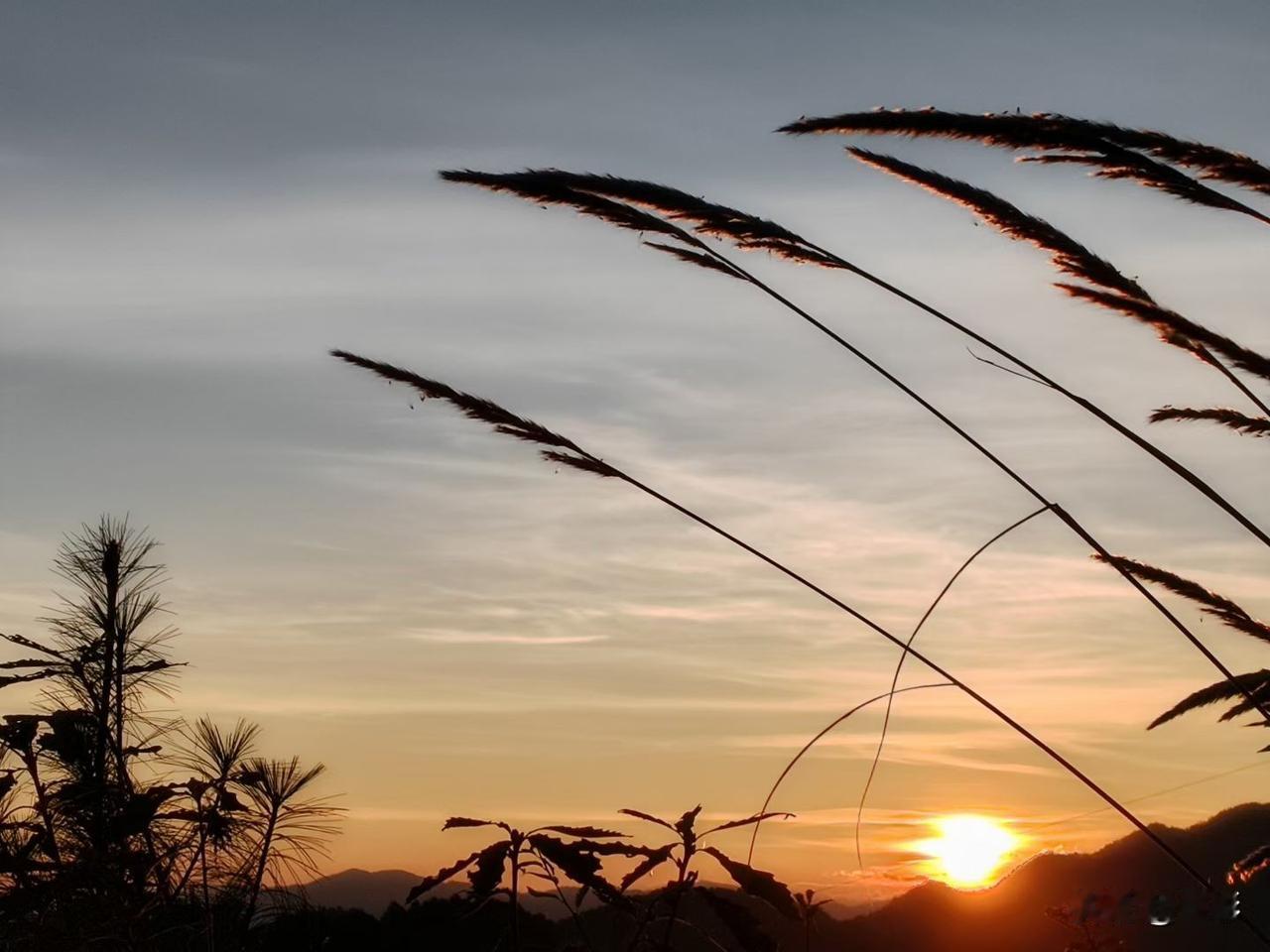 用图片记录驻村工作驻村第一书记的走访，温馨与美景同在！