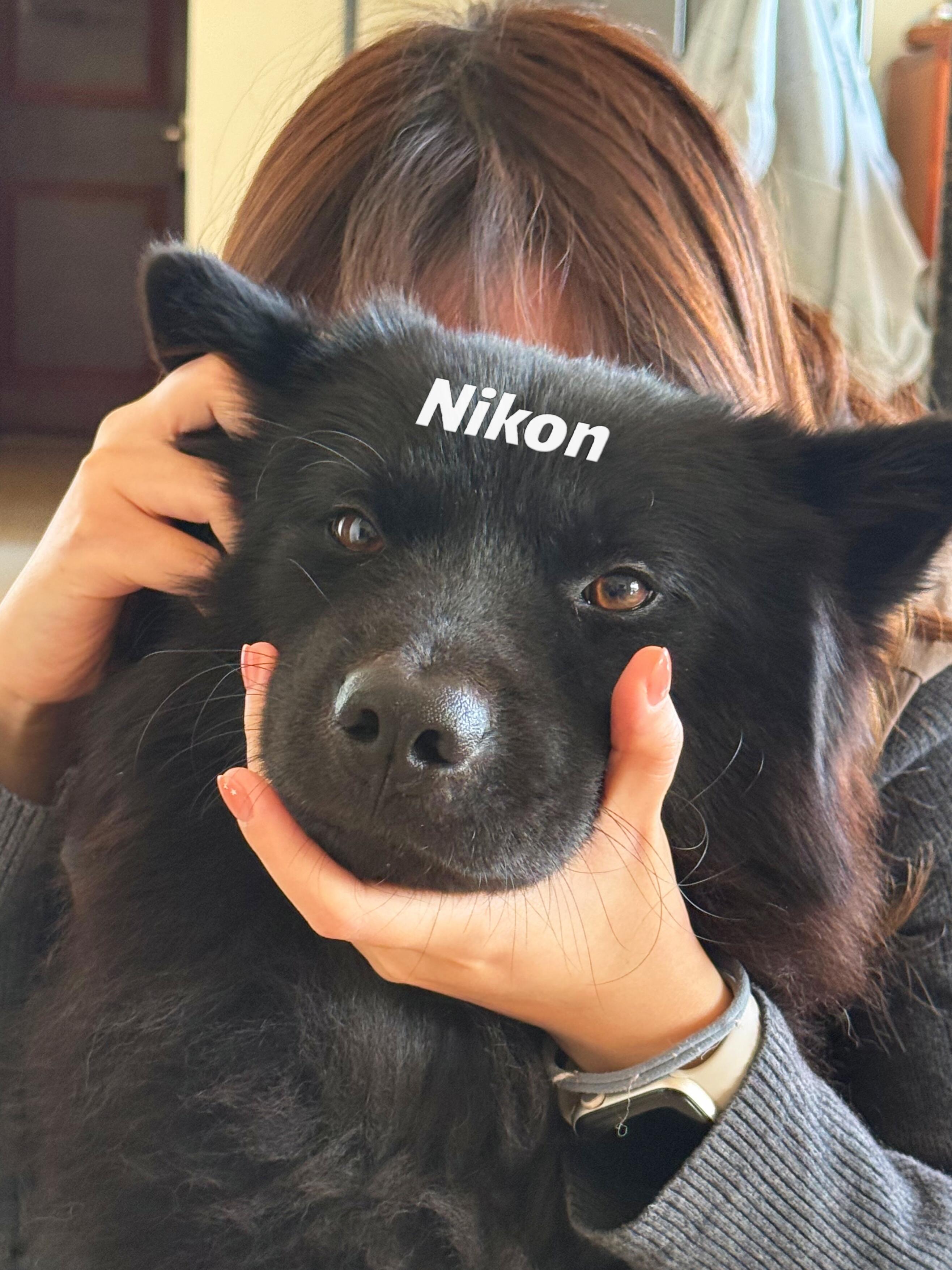 新入手的单反相机 