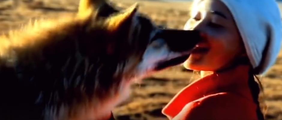 当初李涟漪和亦风在草原上被人用枪指着，亦风出于本能，抛下李涟漪跑了！
事后亦风说