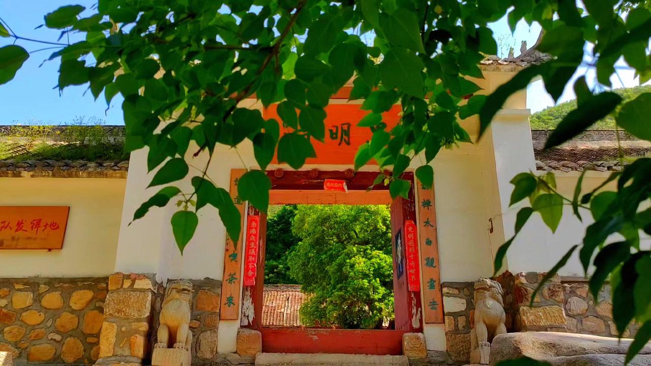 黑明寺藏在桐柏山的怀抱里,唐时始建的古刹历经沧桑仍显清净。最让我震撼的是寺中那棵