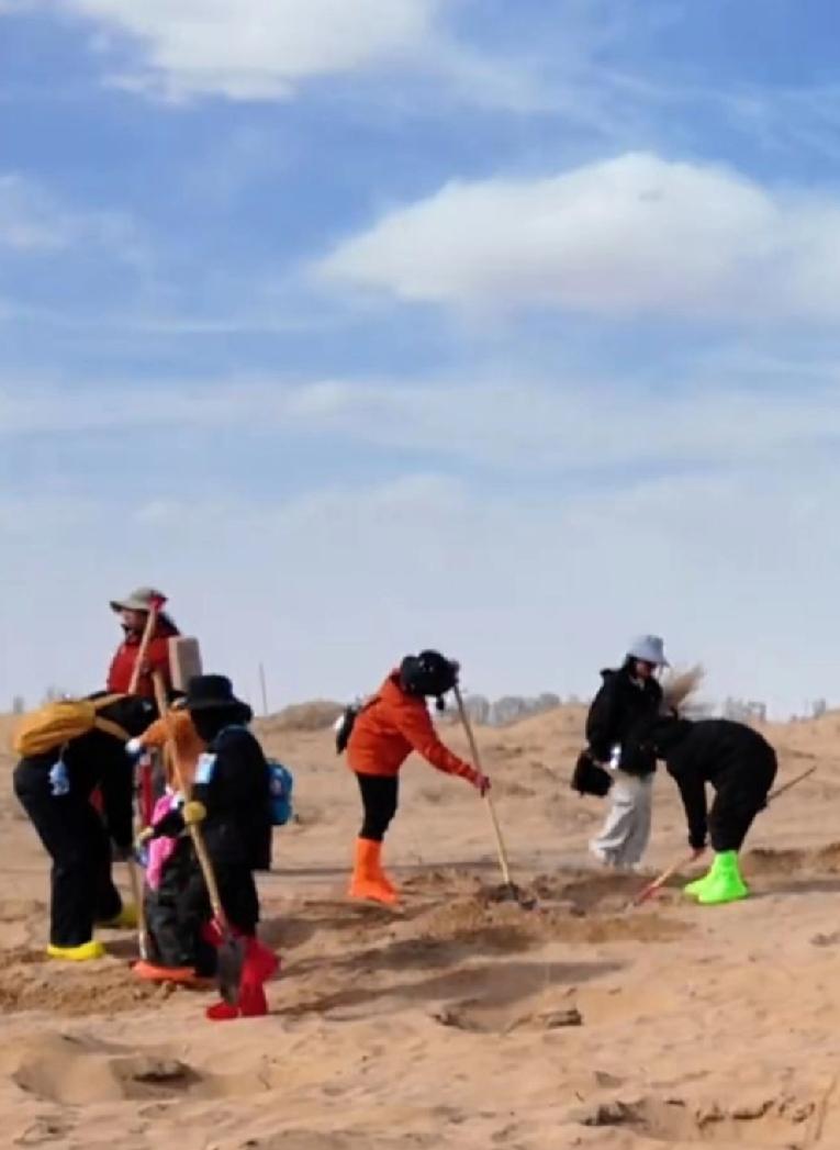 腾格里沙漠边缘的甘肃民勤正举行植树活动，以抵抗沙漠扩张，数百计的义工中九成是女生