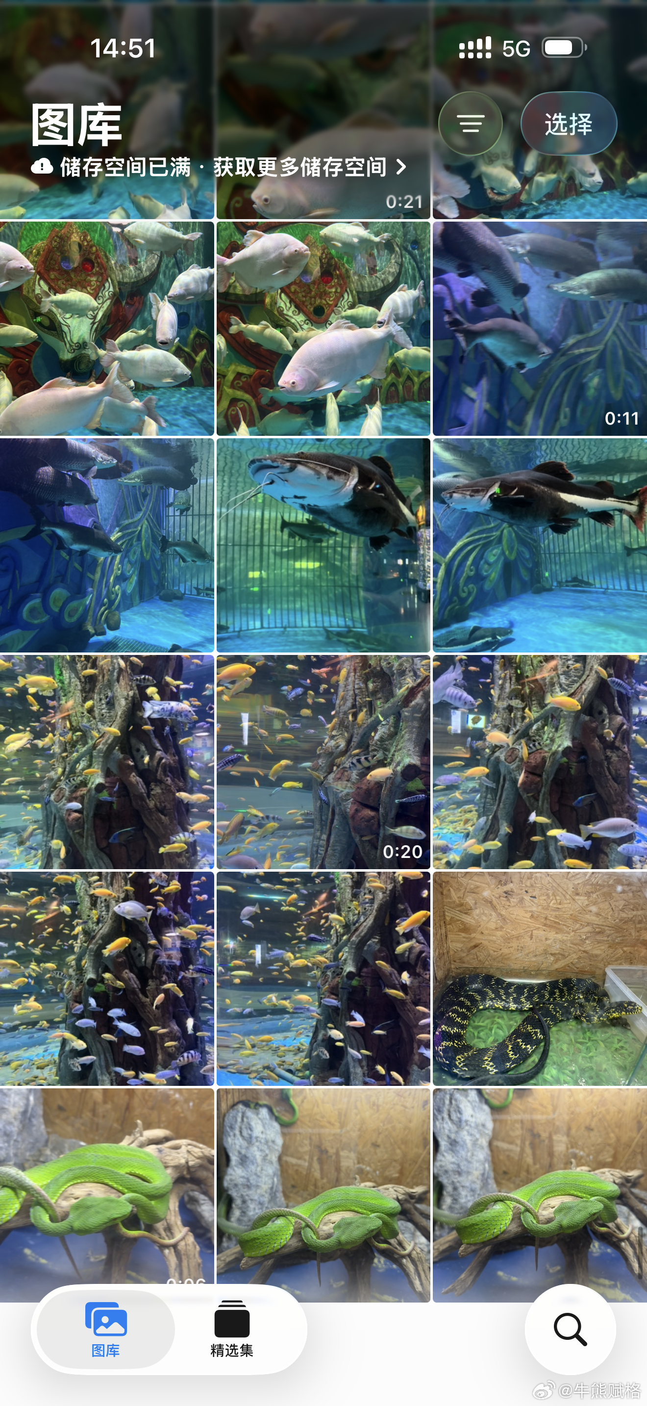 湄公河水下世界西双版纳
