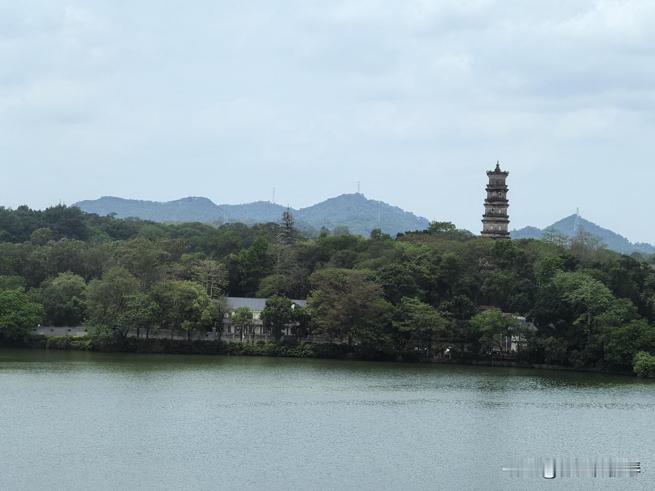 惠州西湖边景观餐厅，边看风景边吃饭！丽日广场五楼，最近挺火的绿茶餐厅，听说是浙江