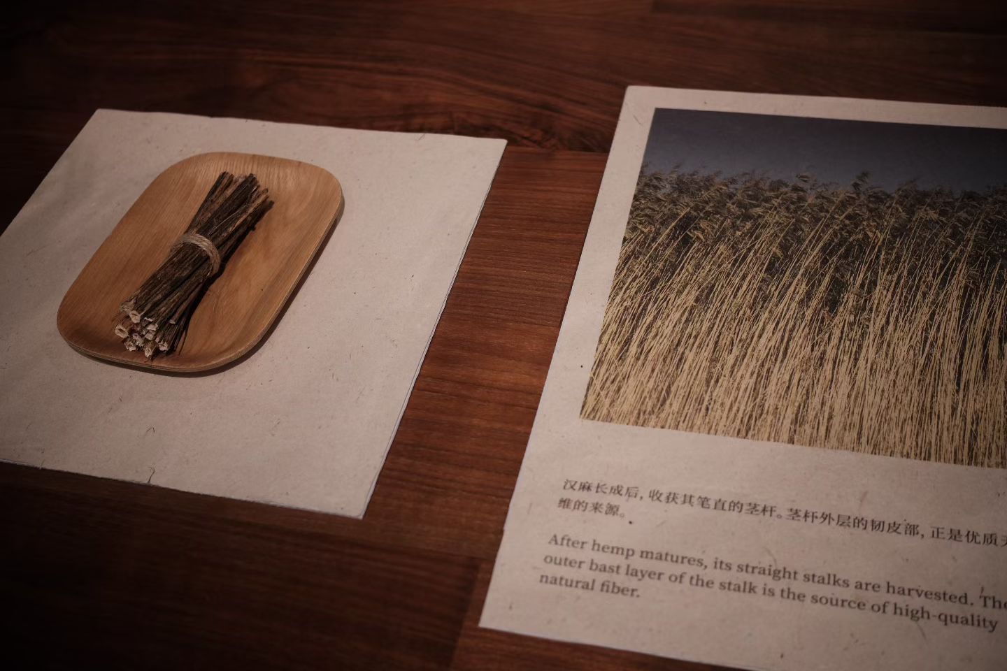 来上海看了一个汉麻展。天然纤维的面料有着独属于草木原生的温度，像清风拂过田野，似